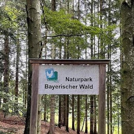 Ferienwohnung Theresa Waldkirchen Bagian luar foto