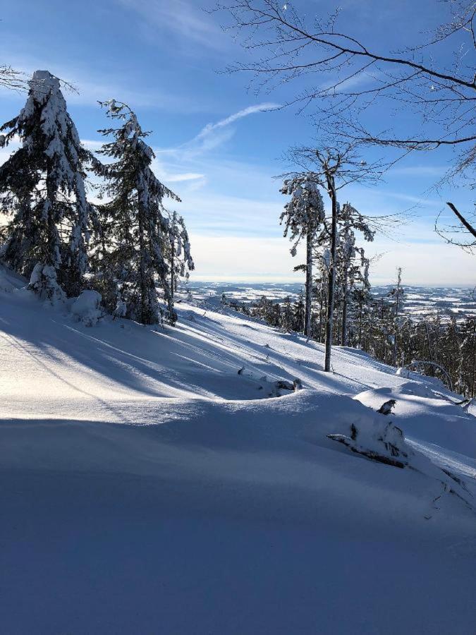 Ferienwohnung Theresa Waldkirchen Bagian luar foto
