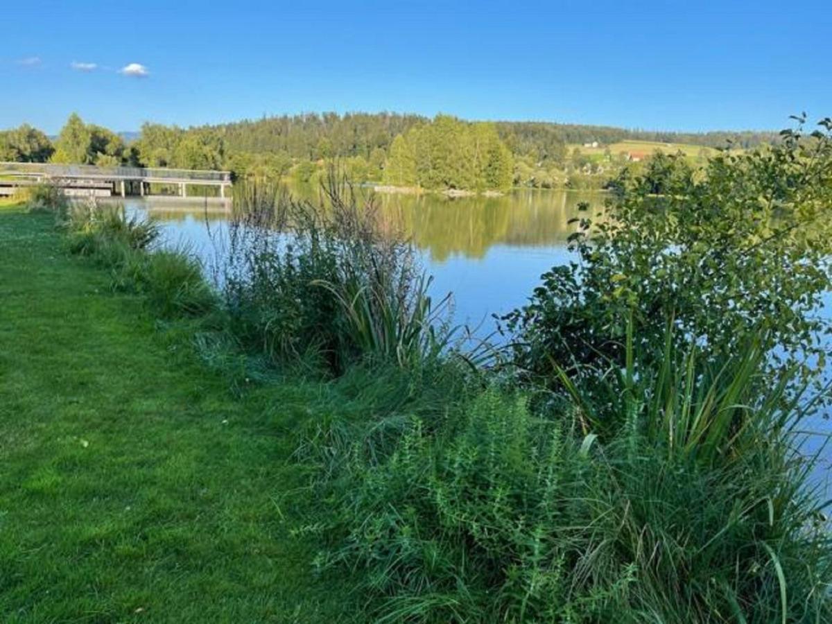Ferienwohnung Theresa Waldkirchen Bagian luar foto
