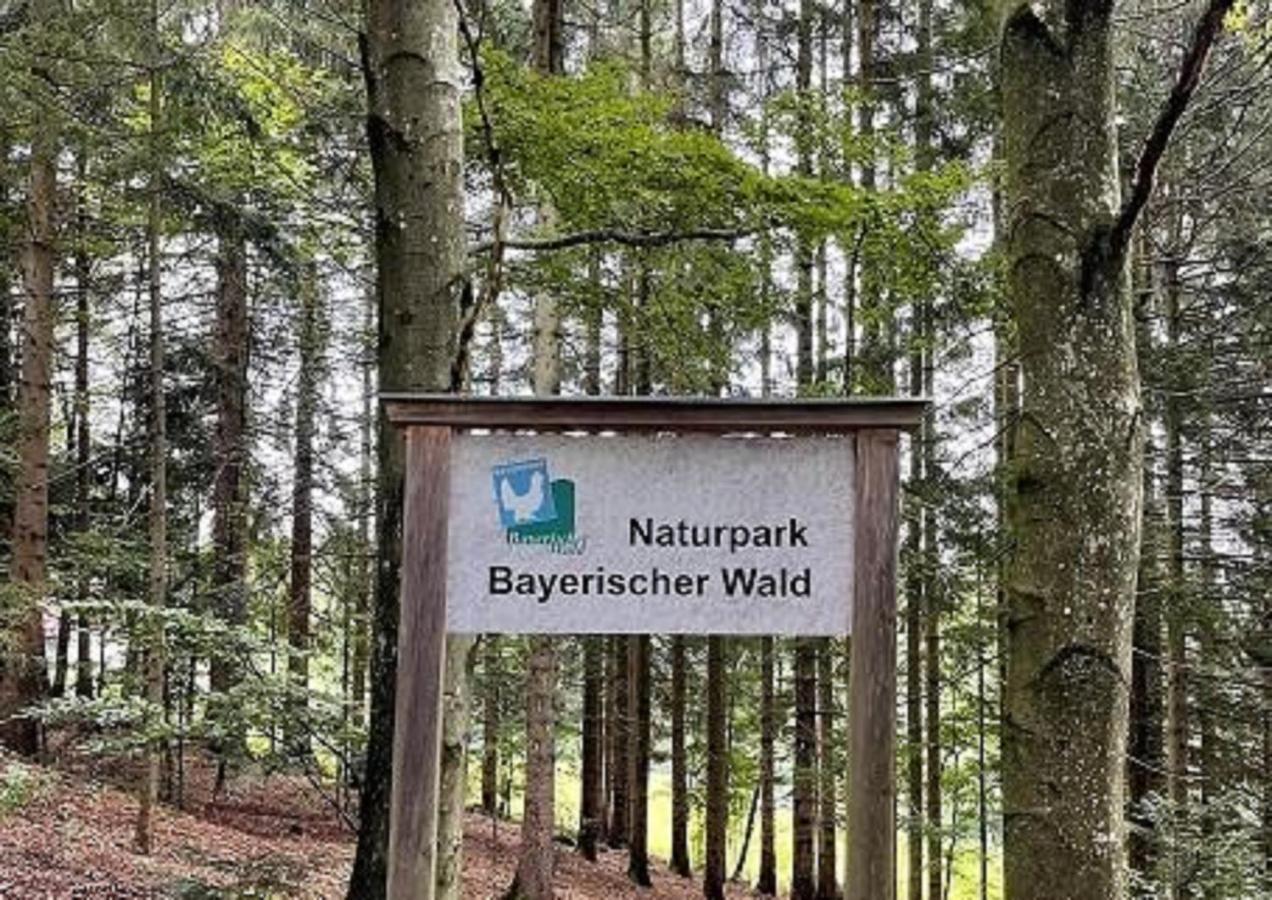 Ferienwohnung Theresa Waldkirchen Bagian luar foto